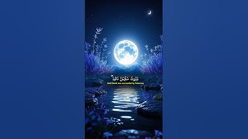 قرآن كريم 🤍 #قرآن #قران_كريم #تلاوة_خاشعة #تلاوة_هادئة #تلاوة #ياسر_الدوسري