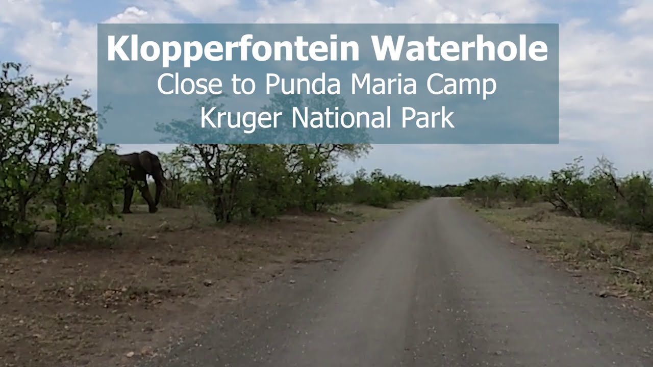 Klopperfontein close to Punda Maria Camp always something interesting to see at this waterhole