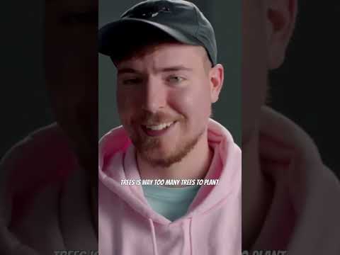 Mr Beast planting