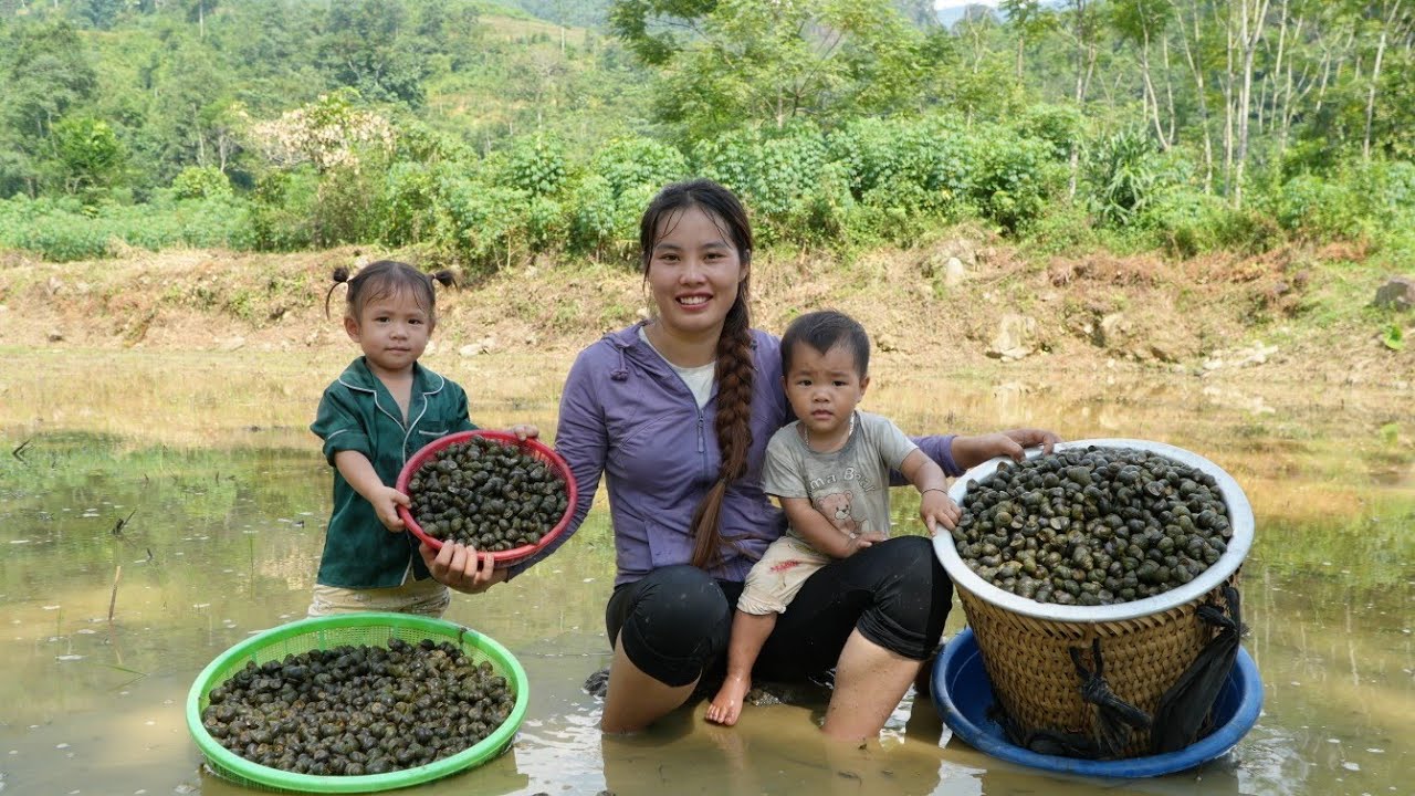harvesting giant mud snails to sell at the market - bathing my little daughter