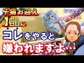【子猫を迎えた"初日"の落とし穴】1日目にやっちゃダメな事 & やった方が良いコトを猫ブリーダーが解説!初めての飼育も安心!