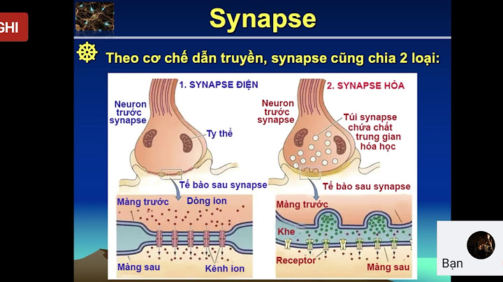 Mỗi lần giật mình mất bao nhiêu noron thần kinh năm 2024