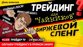 День новичка. Обучение трейдингу в прямом эфире. Биржевой сленг | Live Трейдер ТВ