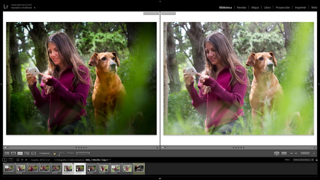 Pinceles de color y ajustes locales para Lightroom