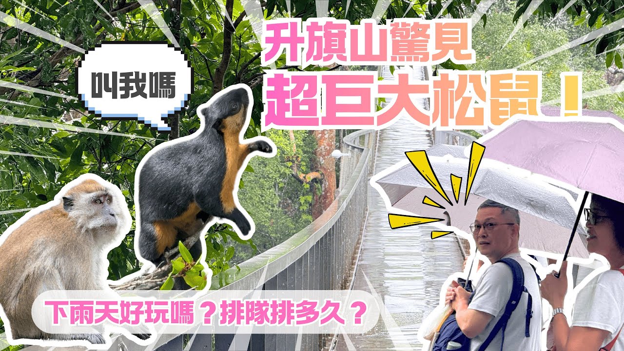 馬來西亞檳城升旗山｜驚見巨大松鼠、被猴子嚇死？纜車飛速根本雲霄飛車？下雨天也漂亮的 The Habitat 步道開箱！