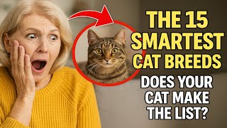 The 15 Smartest Cat Breeds. Does Your Cat Make the List