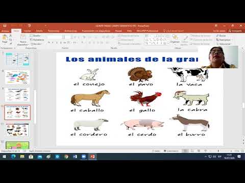 CAMPO SEMÁNTICO- TEMA