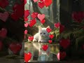 Цветочные котята! 🌸 #забавныекотята