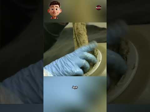 لماذا يتم ثقب معدة الأبقار