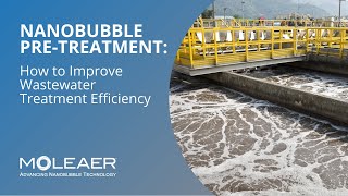 Unlocking Wastewater Treatment Efficiency: Moleaer's Nanobubbles Explained