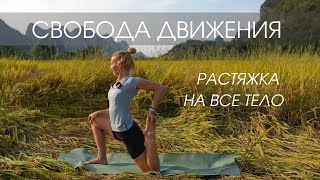 Свобода Движения Через Растяжку И Гибкость В Теле/ Стретчинг На Все Тело