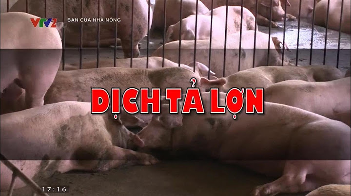Video hướng dẫn phòng chống dịch tả lợn châu phi