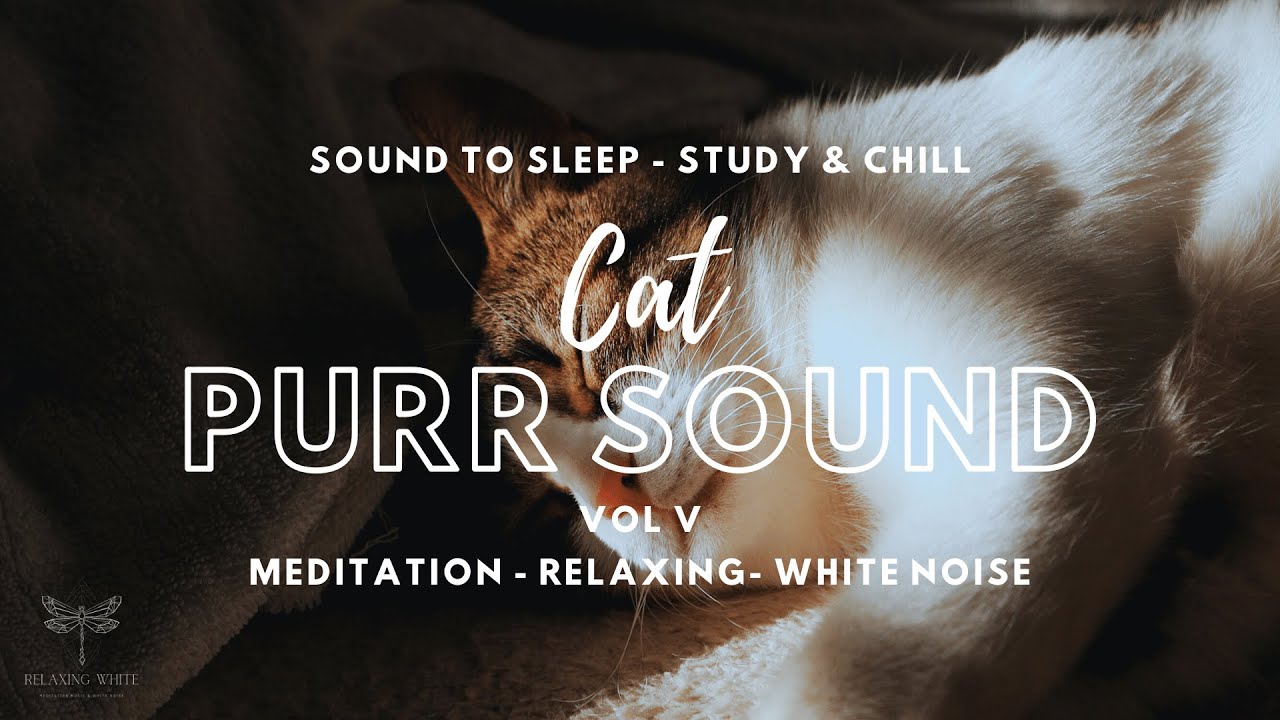 Zen Cat Purring: Your Ultimate Serenity Soundtrack for Deep Relaxation and Meditation