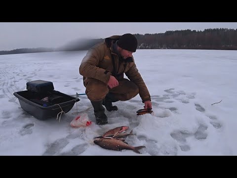 Рыбалка 62 рязань. Рыбалка Ока 2024 зима лещ. Рыбалка на Волгоградском водохранилище зимой 2023. Мормышка колокольчик для зимней рыбалки. Лещ на поливах зимой.