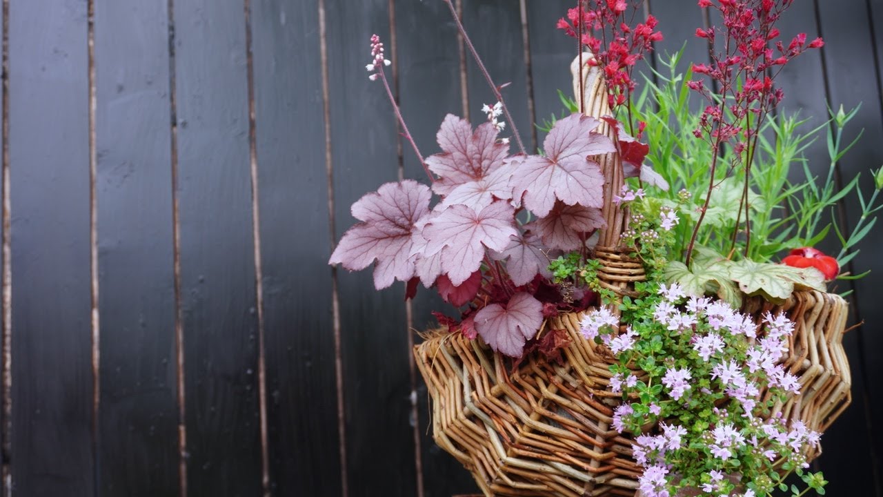 秋の寄せ植えをした多年草のカゴに春の花が咲きました Youtube