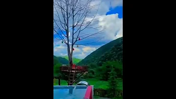 تيك توك يشيم منظر طبيعي راااائع صاروخي 