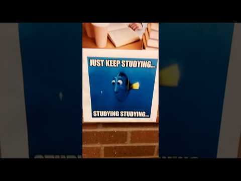 finals-week-memes