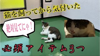 【猫動画＆アイテム紹介】猫に欠かせない必須アイテムを紹介！