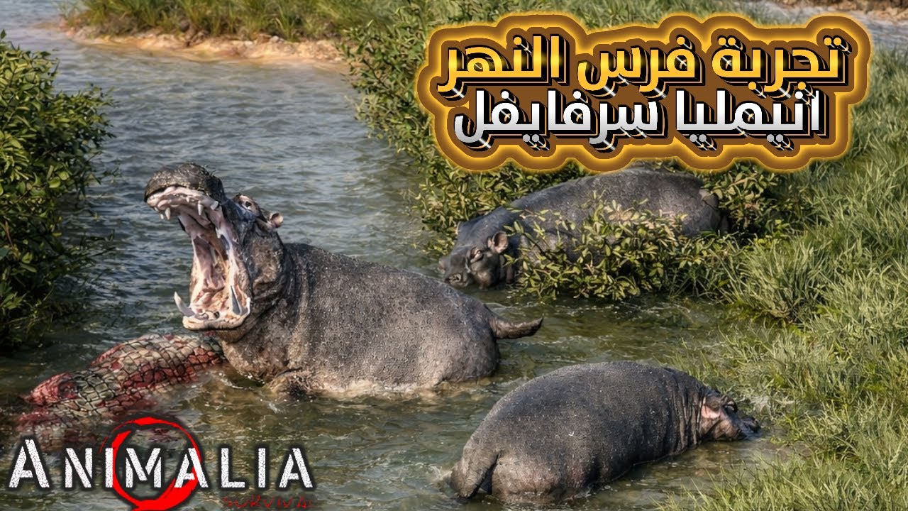 🦛🔥 أول تجربة لفرس النهر في Animalia Survival