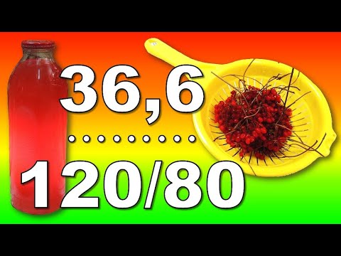 Калина поднимает давление