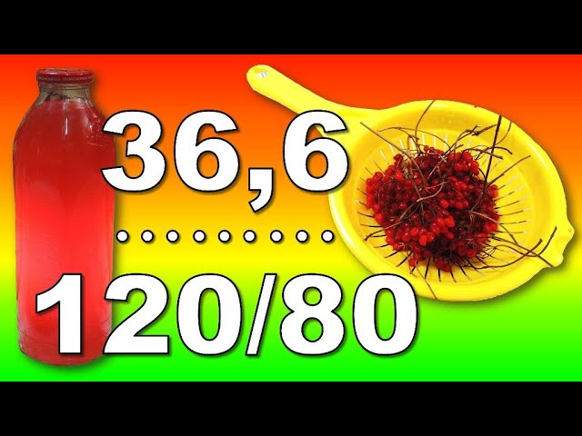 Морс из 🍒 калины. Высокая 💥 температура и артериальное 🩺 давление. Иммунитет, ОРВИ, ОРЗ, гипертония.