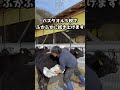 牛のシャンプーをしました