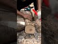 Handcrafted Solid Wood Bed Assembly