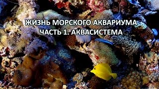 Жизнь морского аквариума. Часть 1. Оборудование(, 2016-04-11T21:16:35.000Z)