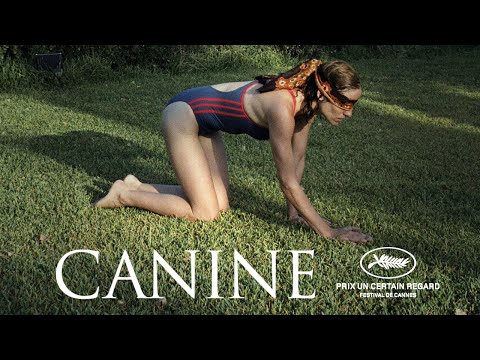 CANINE Bande annonce - Drame