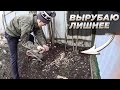 ПОДРЕЗАЮ ВИНОГРАД  И СИРЕНЬ |  ЧИНЮ СВЕТ В ДОМЕ