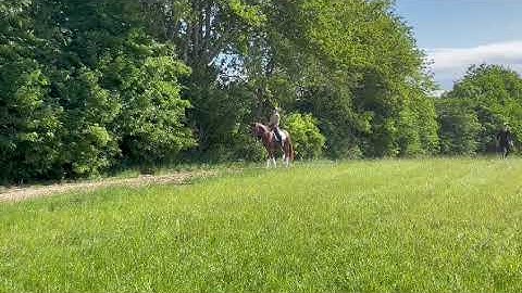 2aa29daf 1f8a 4d87 a3ae 95c58691e378 video