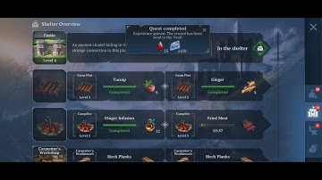 Building Castle 6 (Craft of survival immortals)