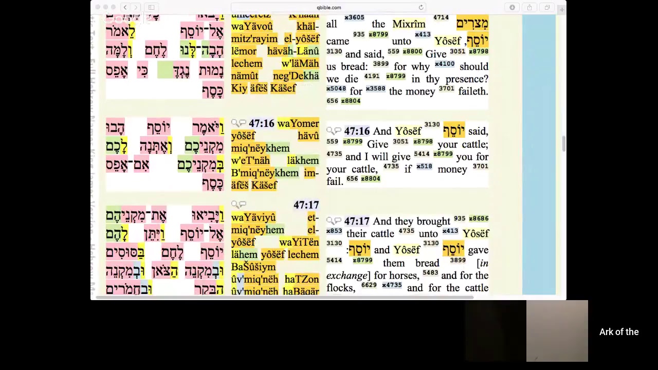 Study Parshah Vayigash with us! (pt. 3)