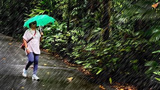 4K Walking In Heavy Rain Along The Rail Corridor at Kranji, Singapore : Rain Drops on Umbrella ASMR by Ambient Walking 555 views 5 months ago 16 minutes