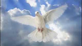 Aktuell wie nie: Hans Hartz - Die weißen Tauben sind müde