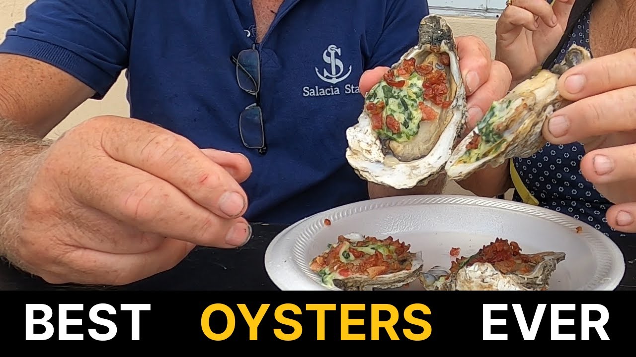 BEST EVER OYSTERS [Ep 133] Sailing Salacia Star