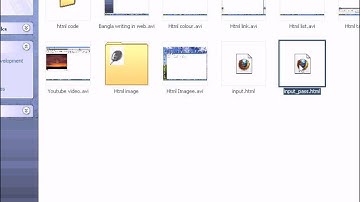 Web Design Bangla Tutorial : Part 10 :Html form