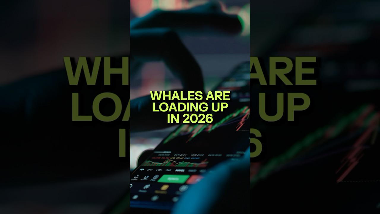 🐳 Крупные инвесторы готовятся к 2026 году — вот что они покупают 