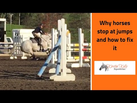 How to fix a horse that stops at jumps.
