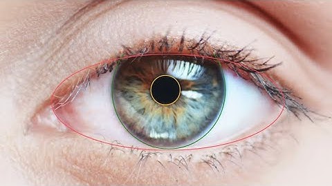 OpenCV, Darknet, YOLO, and DarkHelp