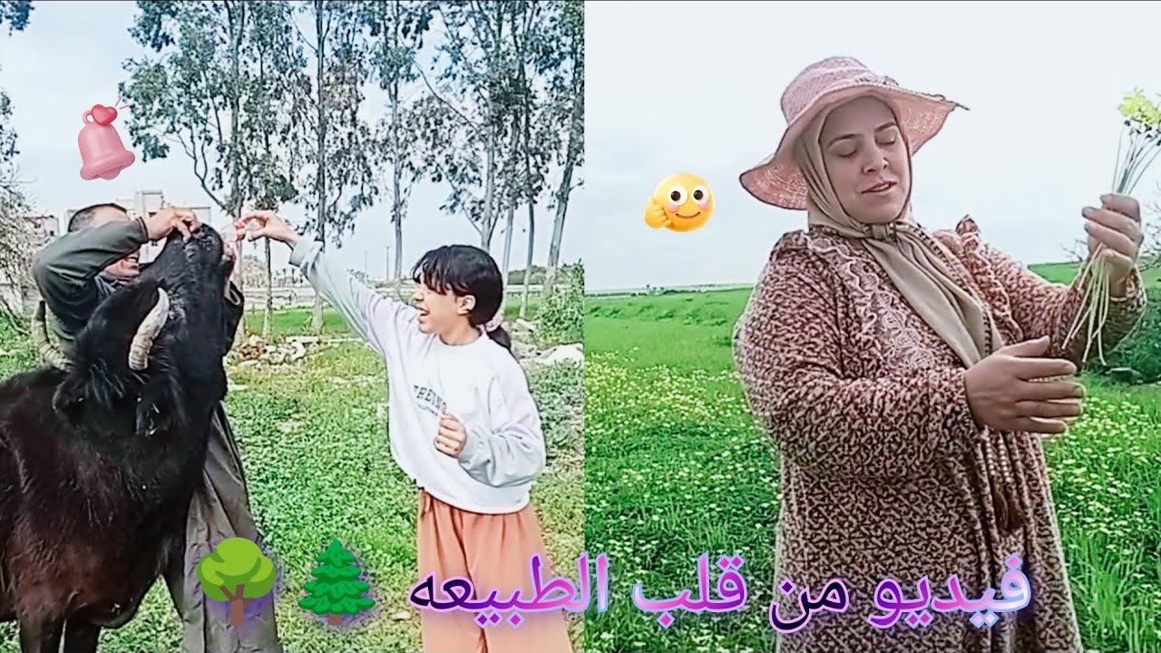 🌳رحله ممتعه الى الطبيعه وكشف اماكن جميله بعيدا عن ضجيج المدينه 🏞️🌄