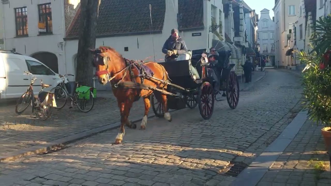 Bruges is the capital of the province of West Flanders in northwestern Belgium.20240109 1037041