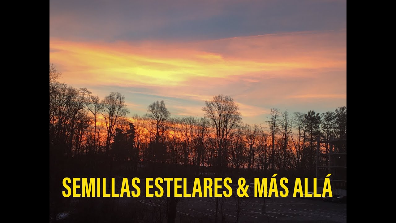 SEMILLAS ESTELARES & MAS ALLA / SIN-CRONIZACION DE LA ENERGIA - YouTube