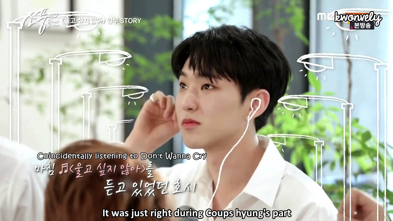 [ENG] 170629 Picnic Live SEVENTEEN Hidden Cut