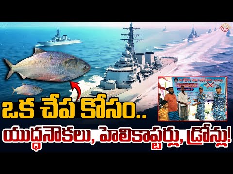 Hilsa Fish: బంగ్లాదేశ్ పులస! Bangladesh Deploys Warships Patrol Aircraft To Protect Fish | Nethra TV