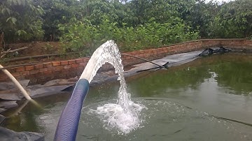 Test đầu bơm nước gắn máy cắt cỏ. Bơm cực khỏe || water pump mounted lawn mower