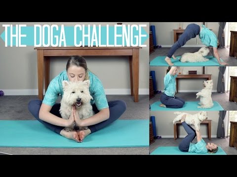The Doga Challenge💪🏼🐶 | TheDogBlog