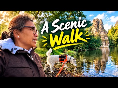 🐾A Scenic Walk in the Teutoburg Forest 🍁