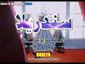 CinderellaStories Cinderella 13 سندريلا الحلقة ١٣ سندريلا اطفال كرتون 
