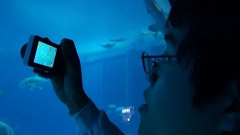 アマチュアカメラマンの米田祐二さんを追ったドキュメンタリー！映画『ぼくは写真で世界とつながる　～米田祐二 22歳～』予告編